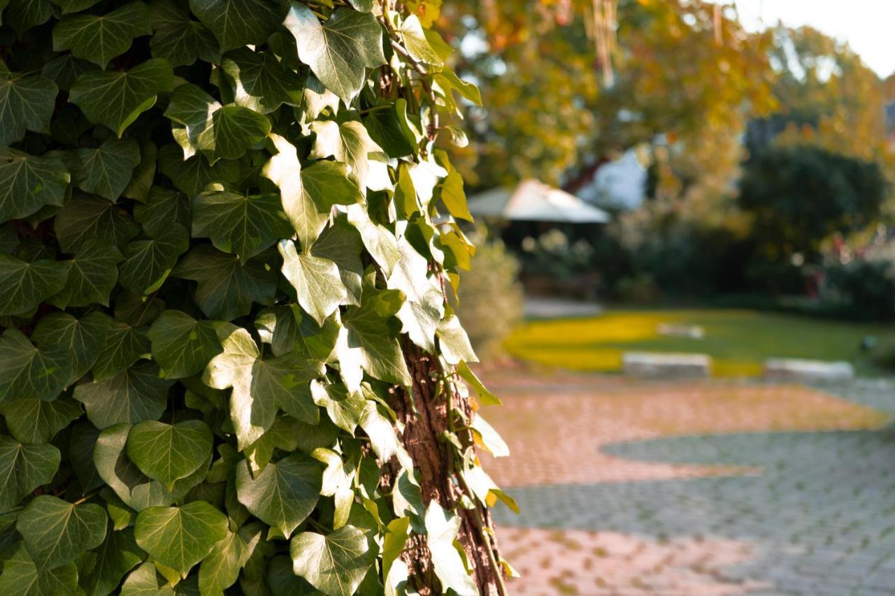Villa Benz Hotel Garni Schwetzingen Exterior photo